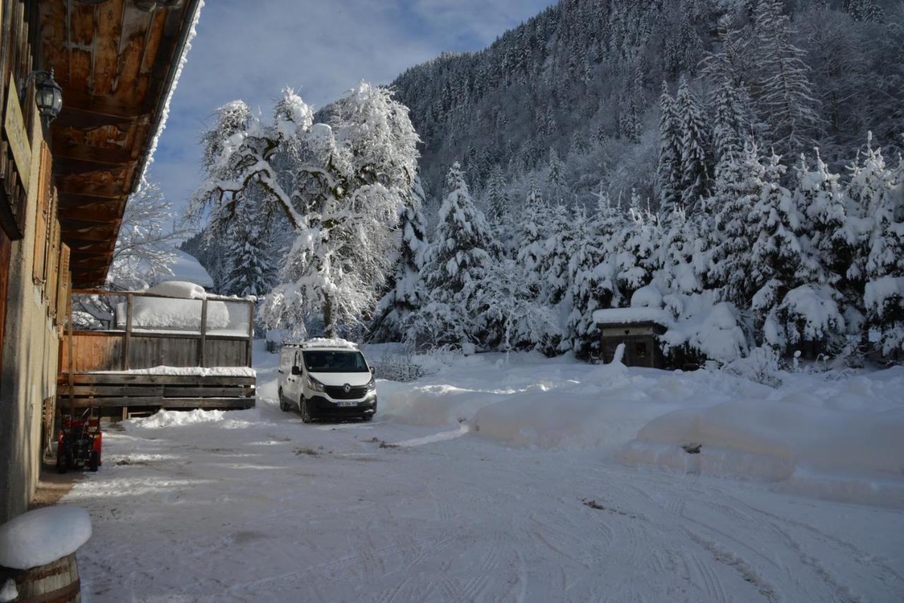 Appartement Dans Chalet 5 Chambres 130 M2 Centre Village Montriond Esterno foto